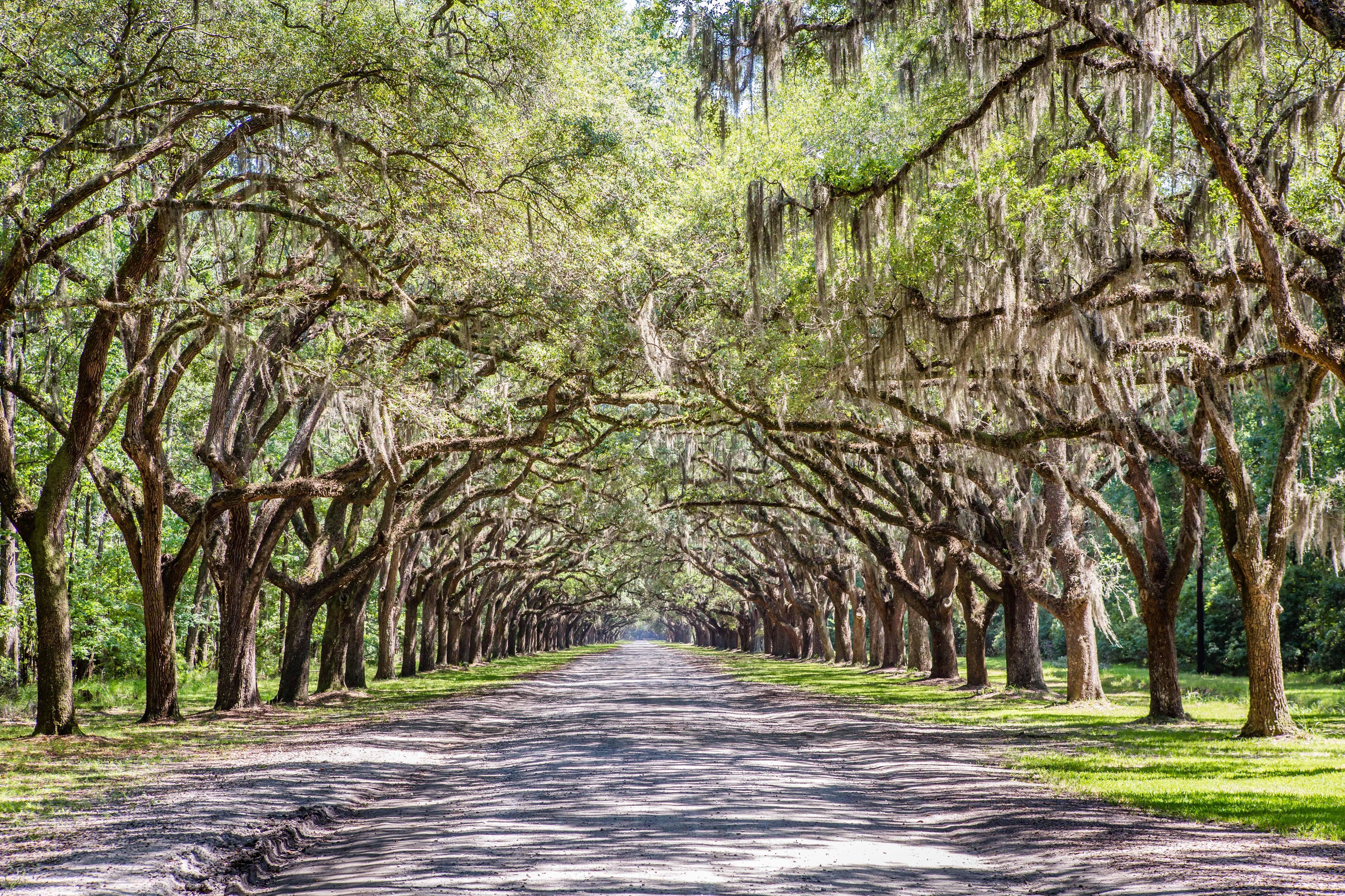 Holiday Inn Savannah Historic District By Ihg Экстерьер фото